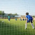 Goal Net