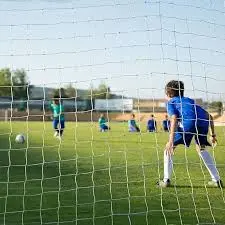 Goal Net