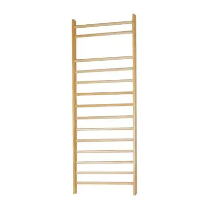 Gymnastics Wall Bars