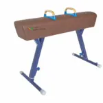 Gymnastics Pommel Horse