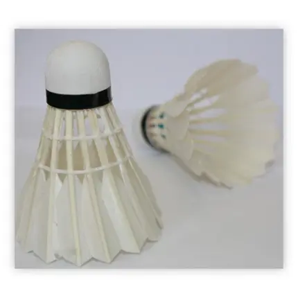 Badminton Shuttlecocks