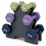 Fitness Dumbbells